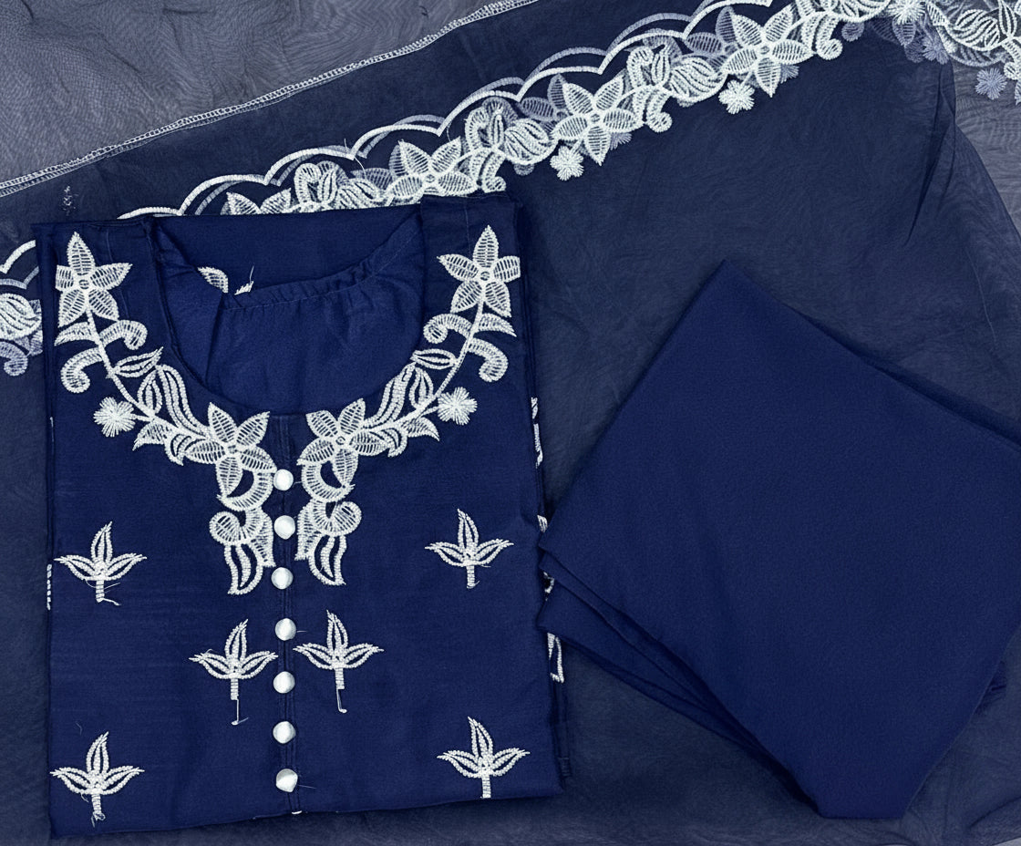 Winter sale Organza 3 piece