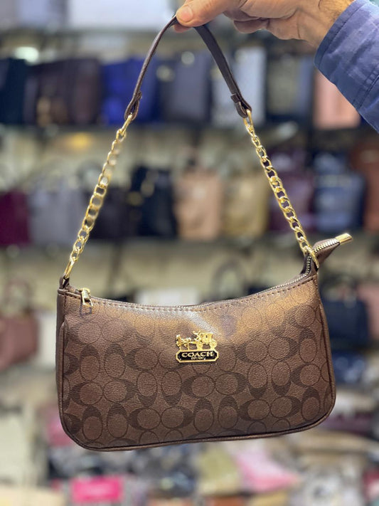 MOON STYLE Coach & Louis Vuitton CROSSBODY